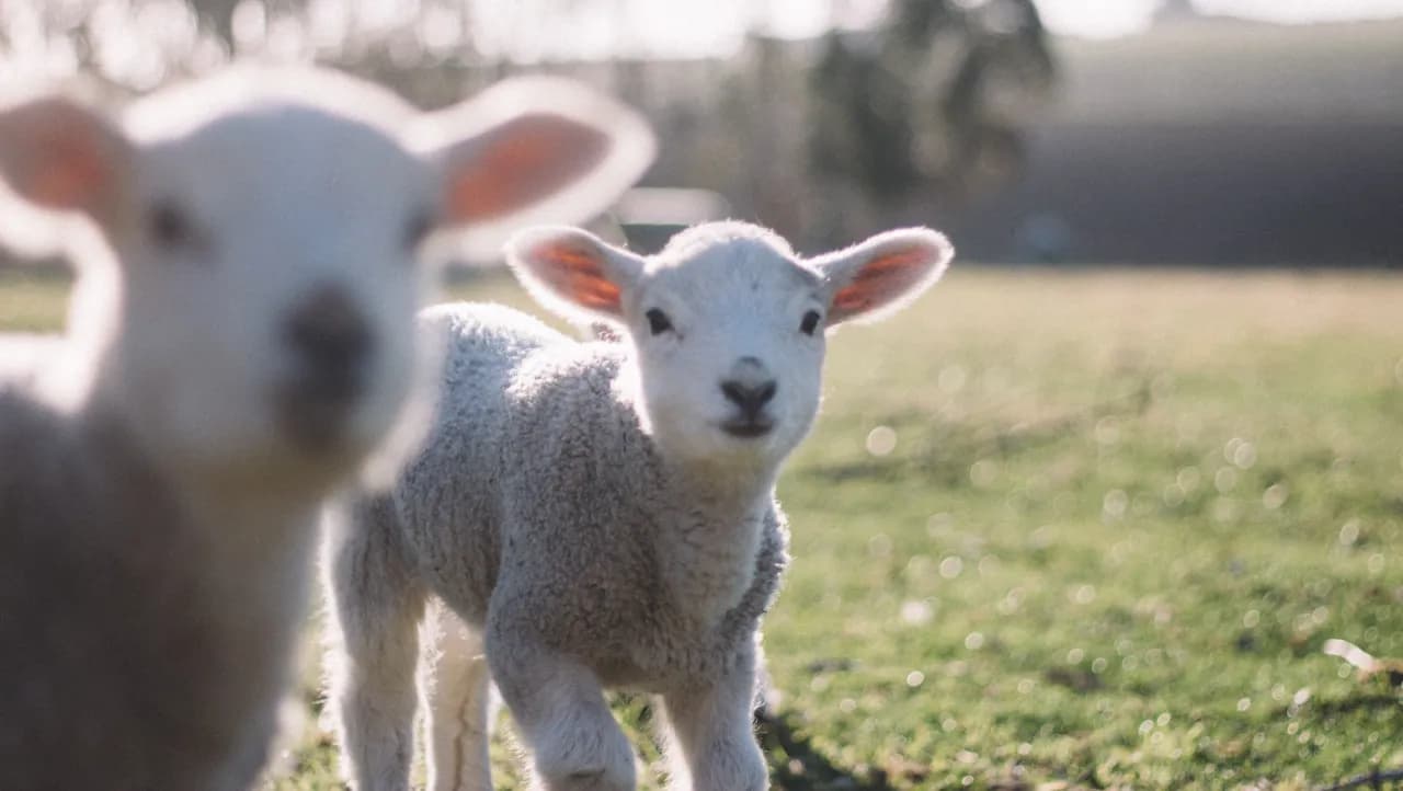 Od czego zależy kiedy jest Wielkanoc? Odkryj tajemnice daty świąt